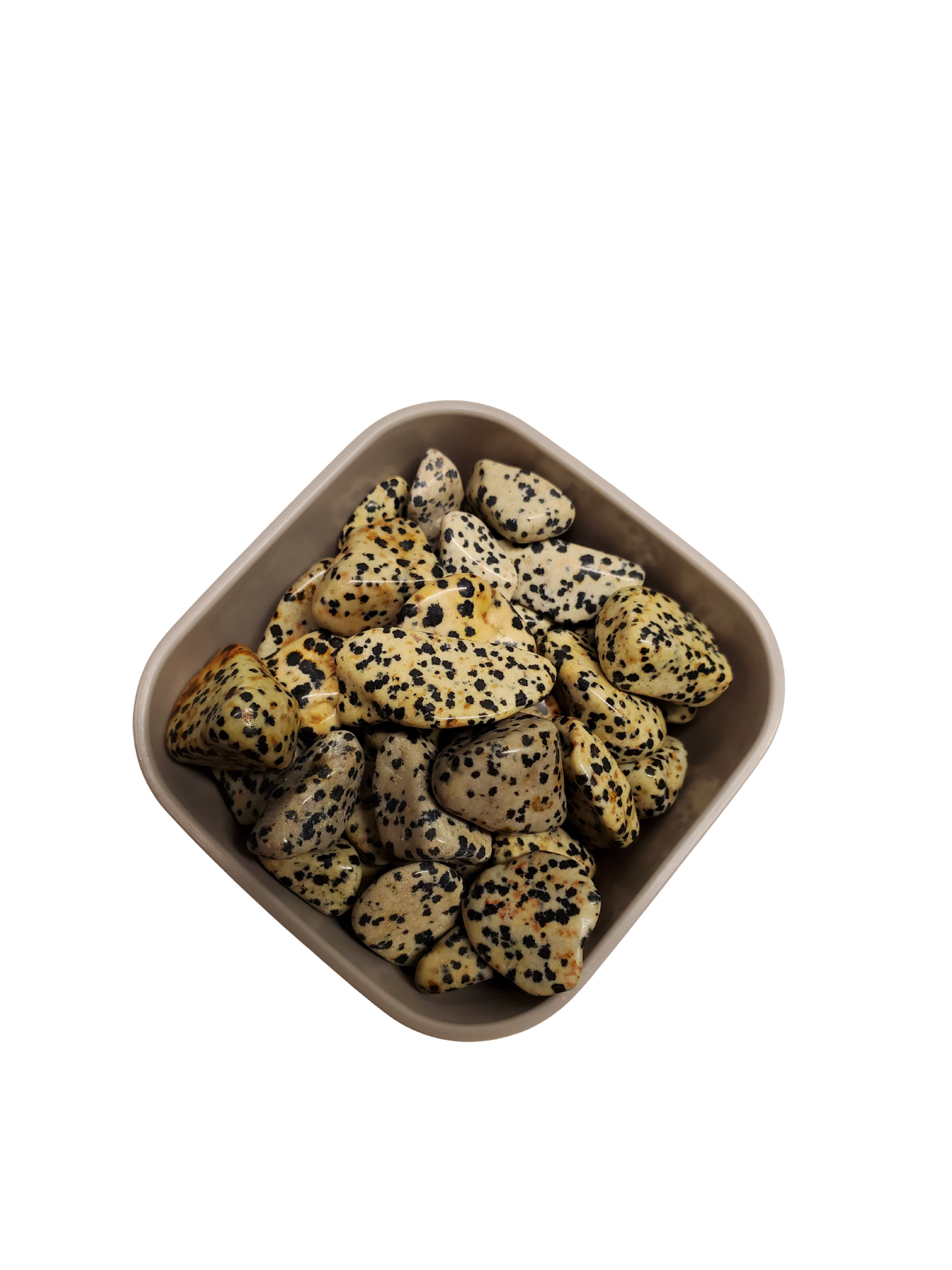 Dalmatian Jasper- Tumbled