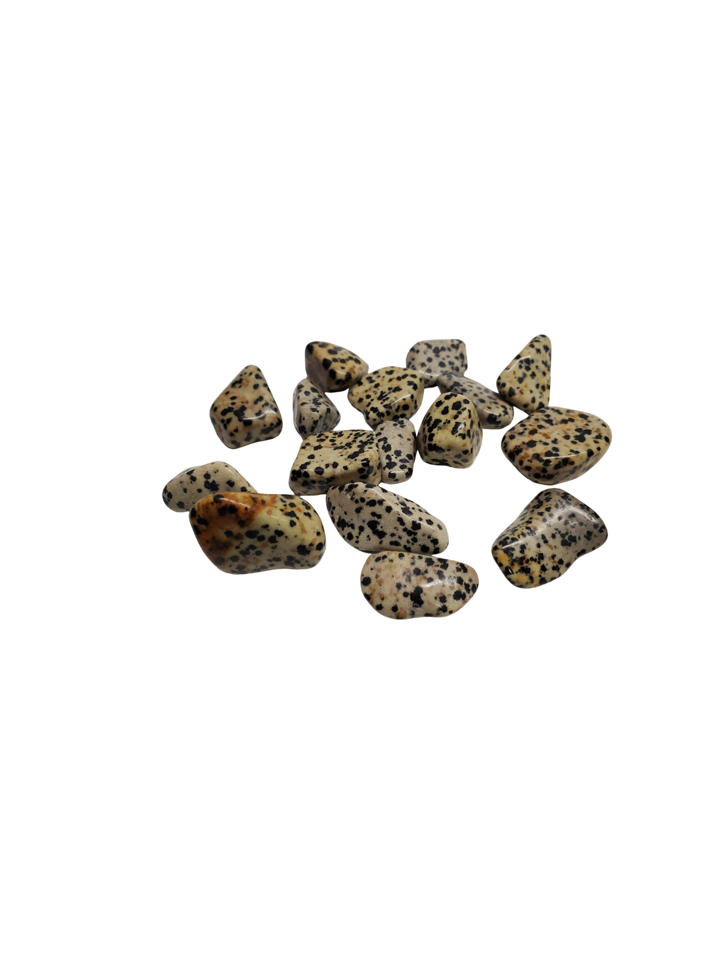 Dalmatian Jasper- Tumbled
