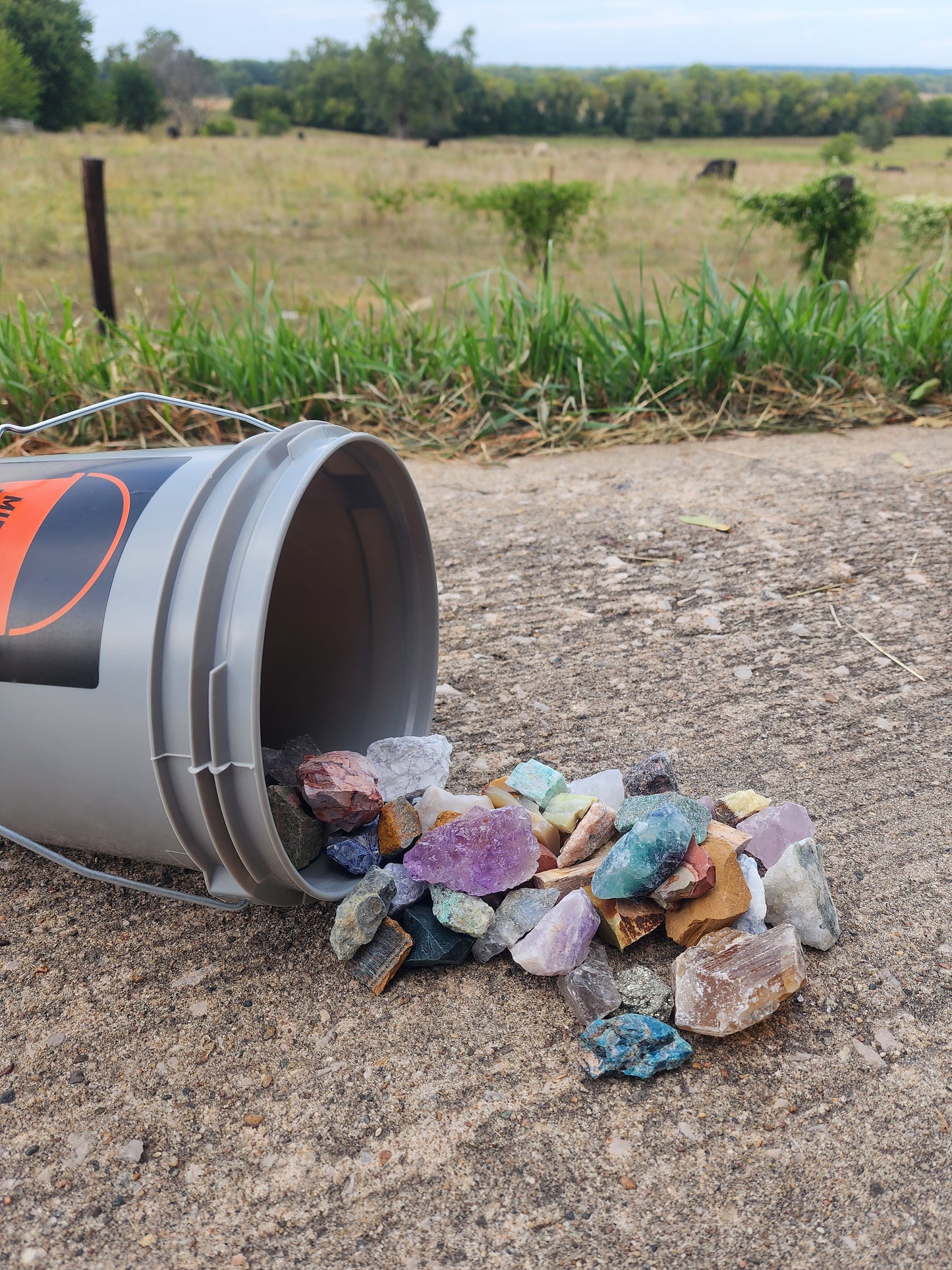 Collectors Bucket