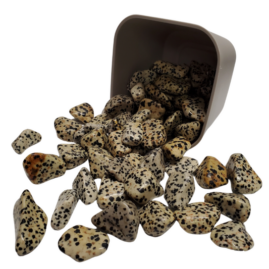 Dalmatian Jasper- Tumbled